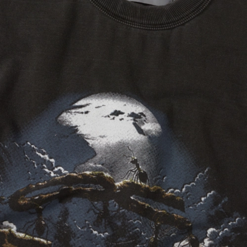 CAMISETA QC FORMIGAS BOXY STONED