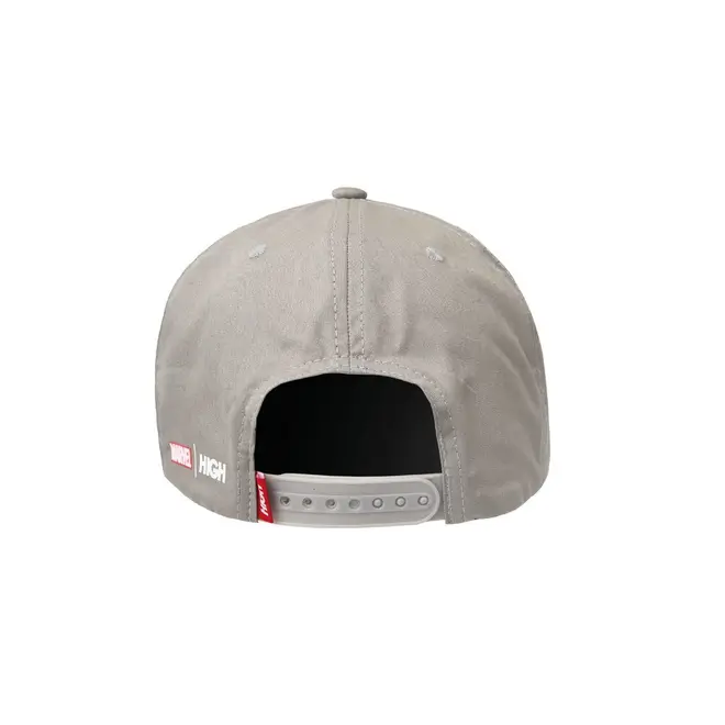 BONE HIGH 6 PANEL SILVER SURFER