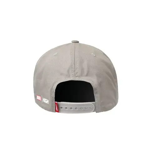BONE HIGH 6 PANEL SILVER SURFER
