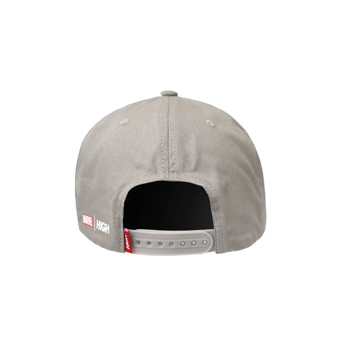 BONE HIGH 6 PANEL SILVER SURFER
