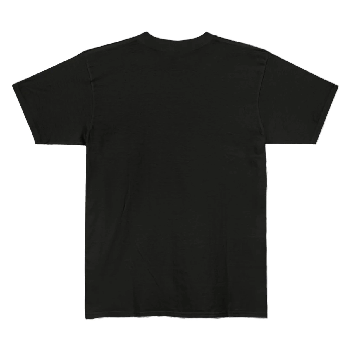 CAMISETA GRIZZLY BOLADA