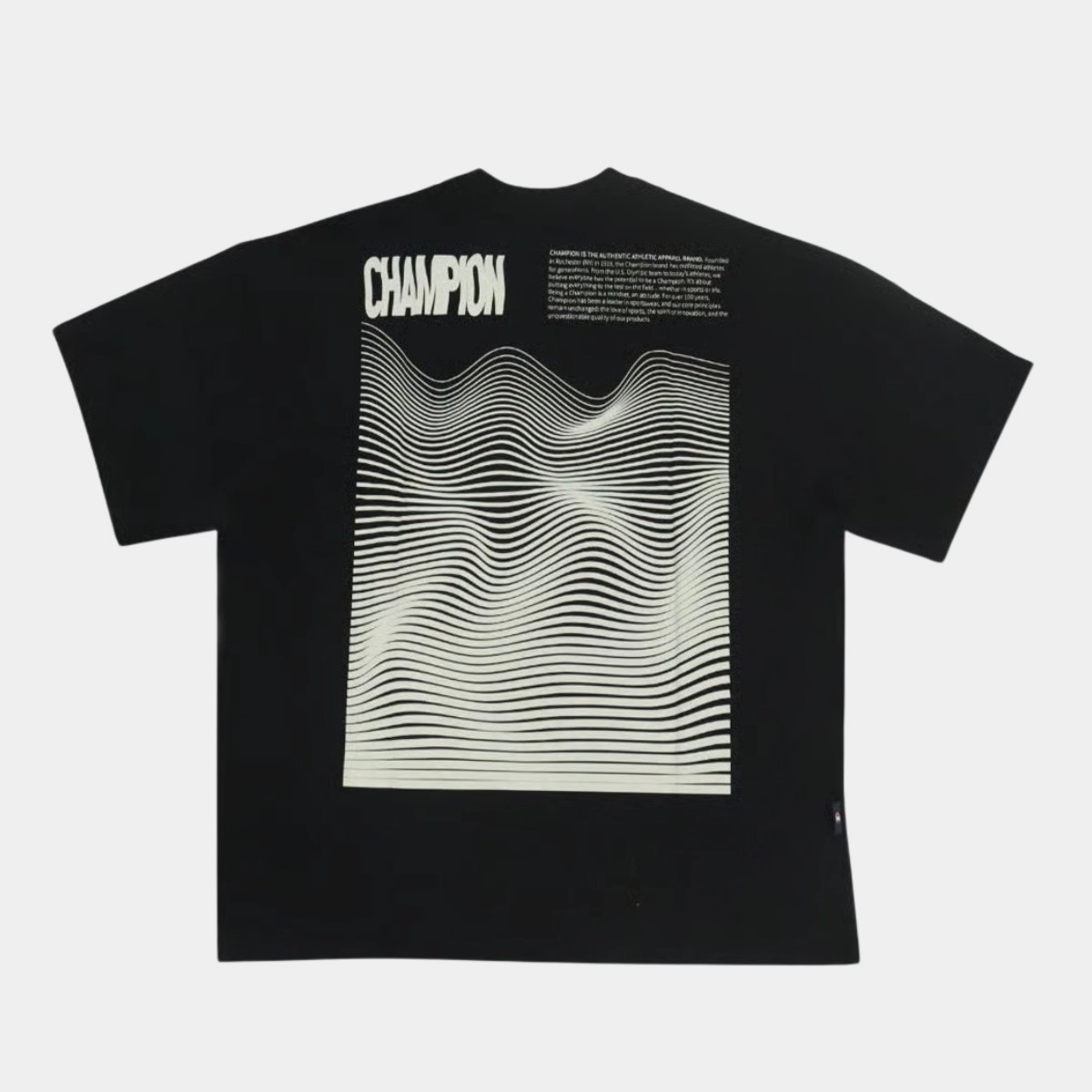 CAMISETA CHAMPION OVERSIZED LINES