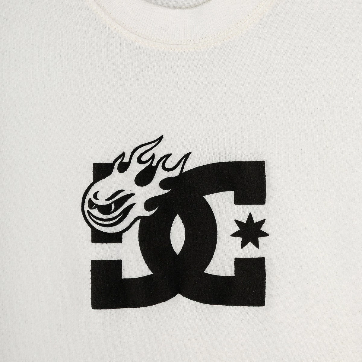CAMISETA HIGH x DC BOX LOGO WHITE