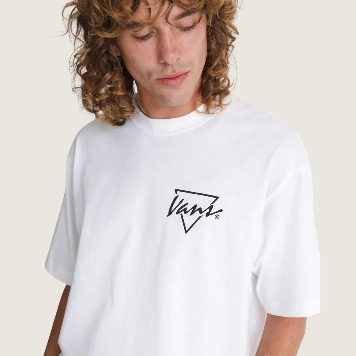 CAMISETA VANS PALM DRIVE