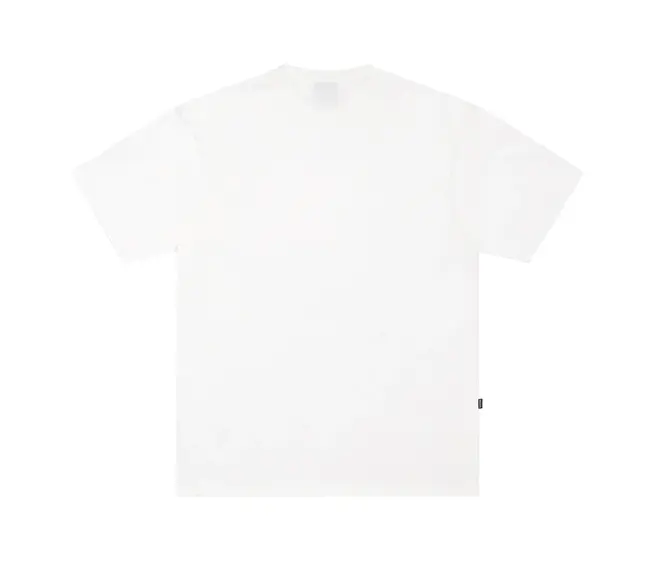 CAMISETA DISTURB CLASSIC FLAVOURS