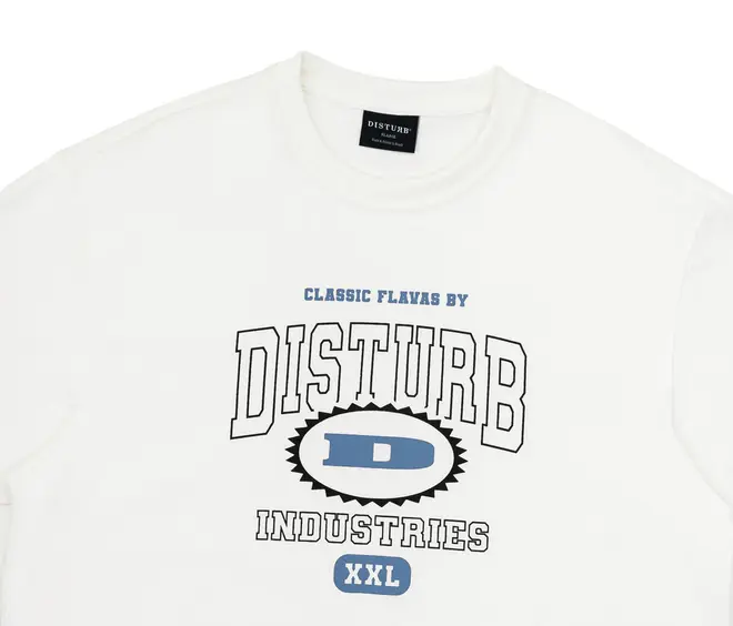CAMISETA DISTURB CLASSIC FLAVOURS