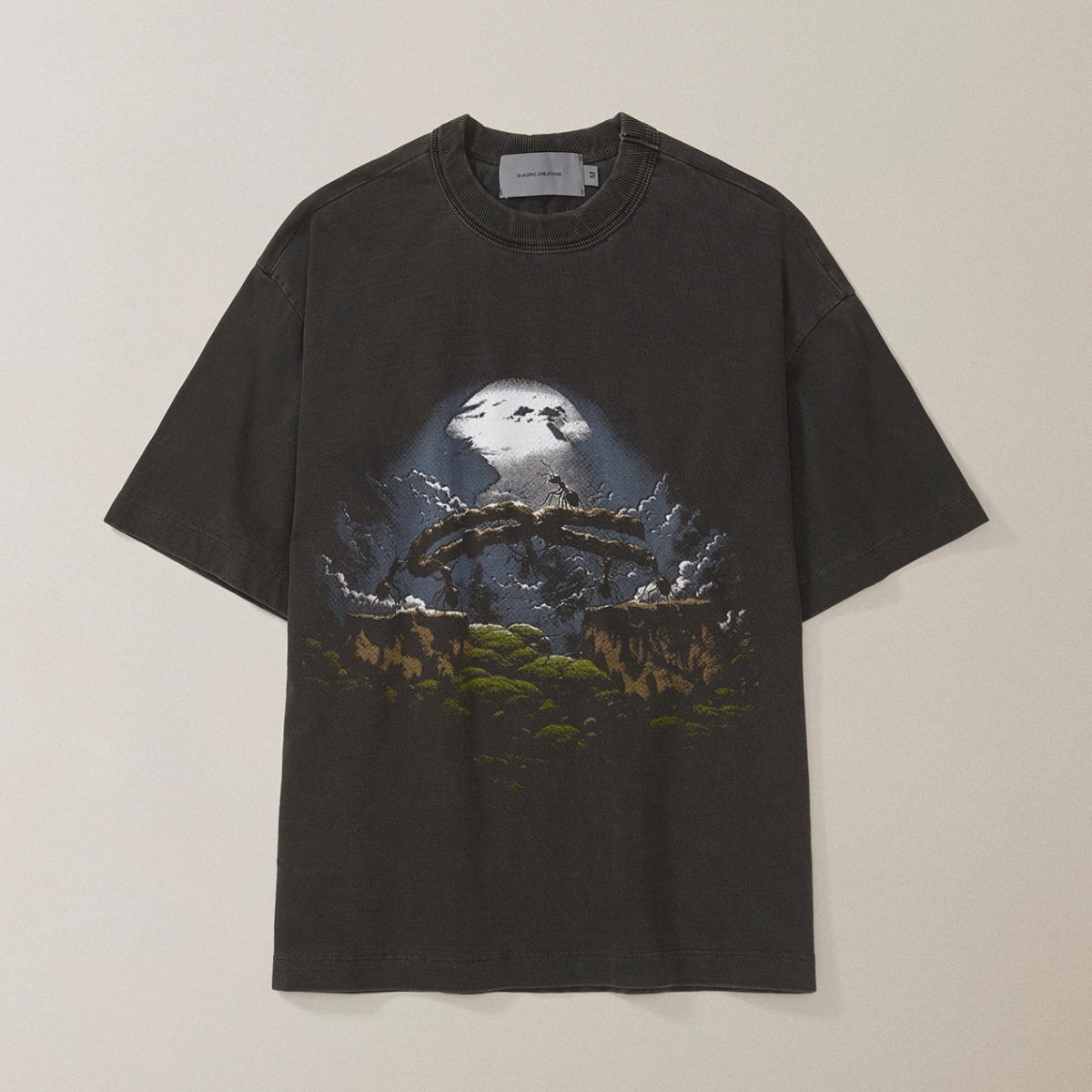 CAMISETA QC FORMIGAS BOXY STONED