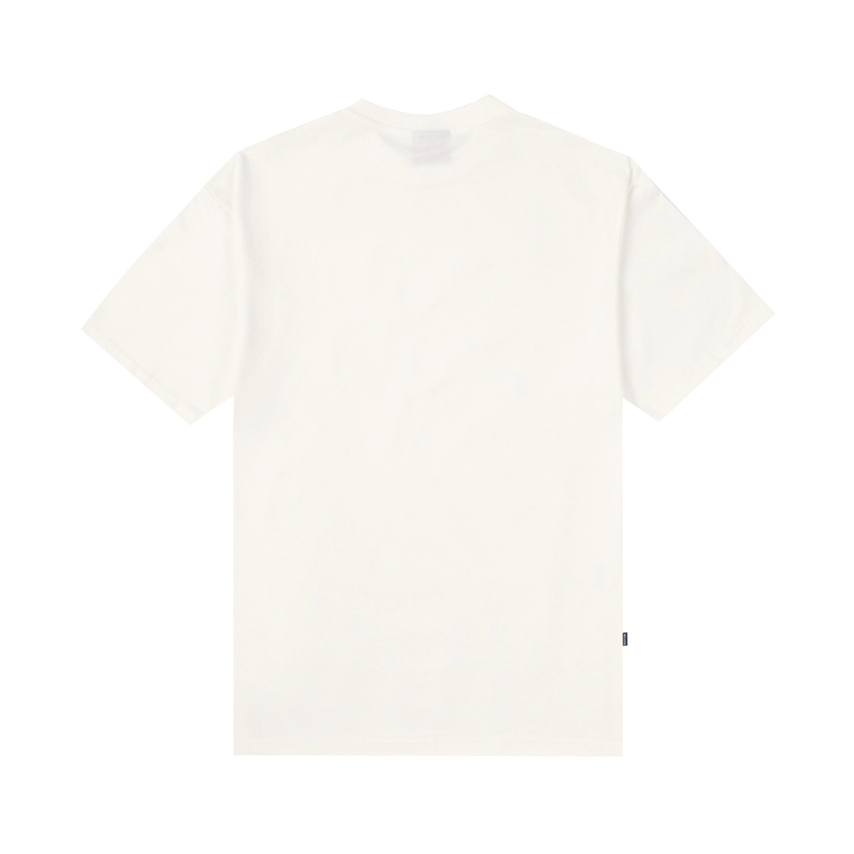 CAMISETA DISTURB CLASSIC FLAVAS